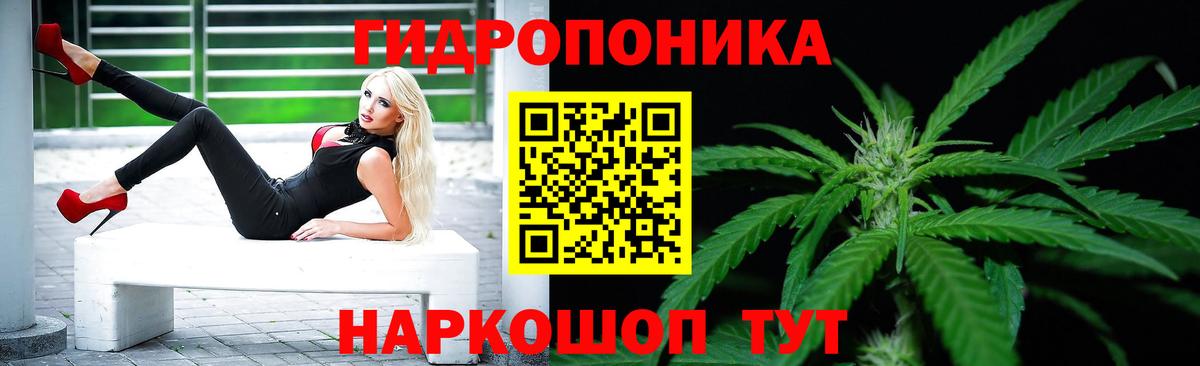 Бошки марихуана сатива Боровичи
